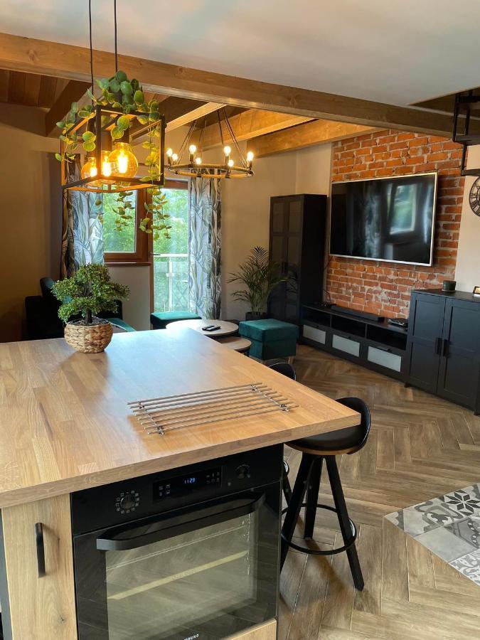 Apartamenty Miejscowka - Apartamenty Z Widokiem Na Gory - Bezplatny Parking Zakopane Ngoại thất bức ảnh